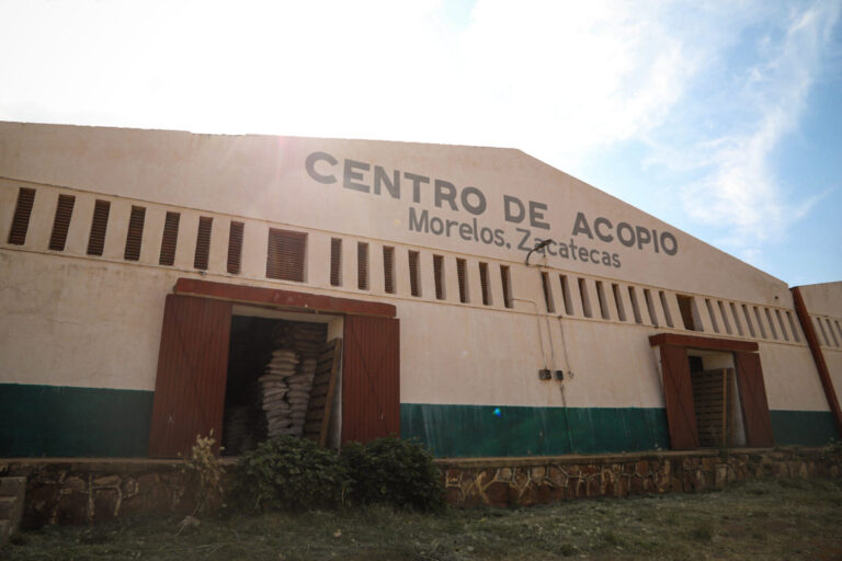 A 30%, avance en acopio de frijol