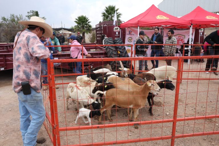 Invierten 9 mdp en apoyos a productores