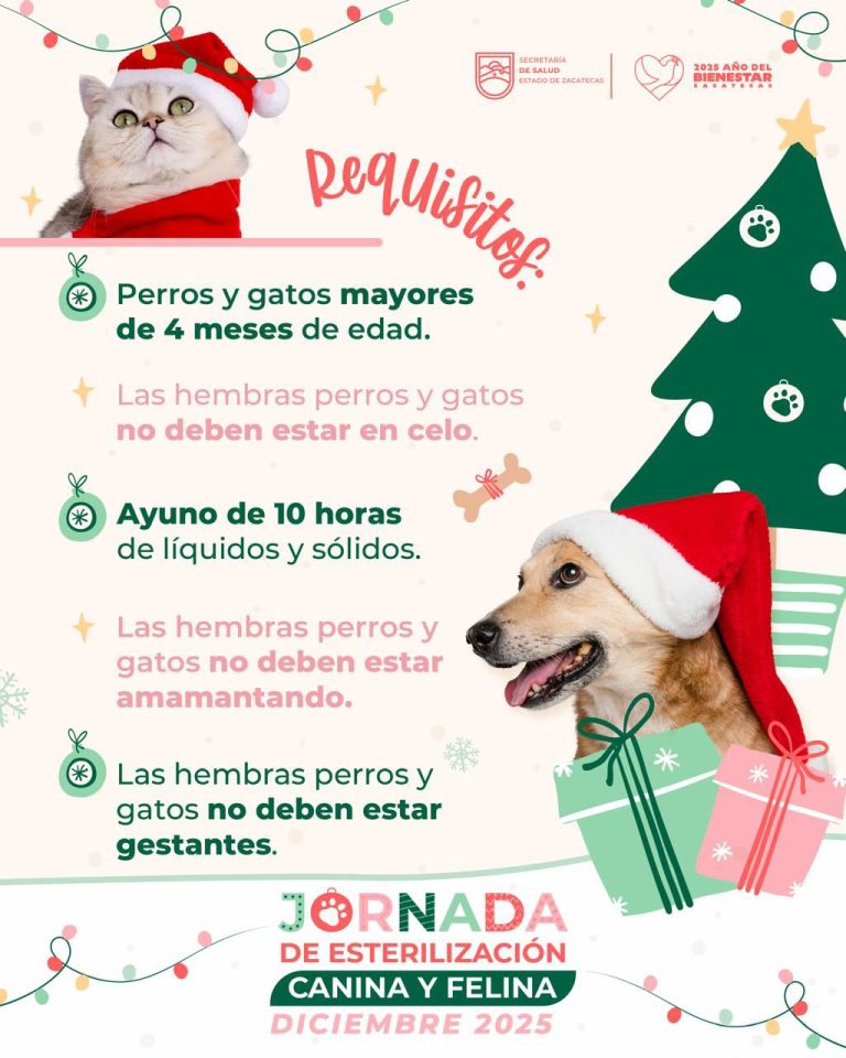 Realizan jornada de esterilización en Villanueva y Sombrerete