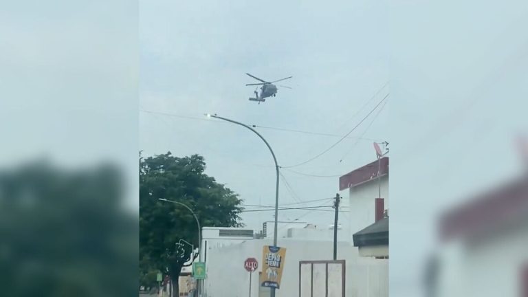 Capturan a «El señor de la Silla»