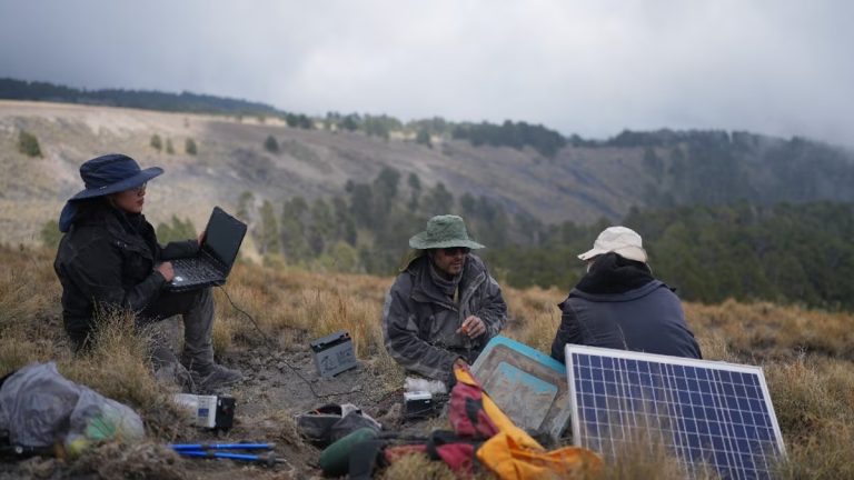 Científicos de la UNAM obtuvieron una radiografía de ‘Don Goyo’
