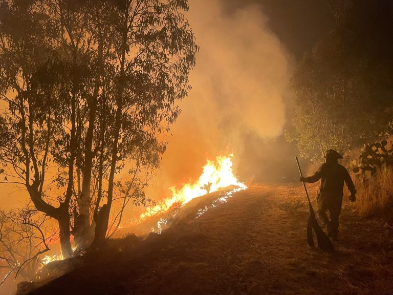 Controlan incendio forestal; llamas consumen cerca de cuatro hectáreas