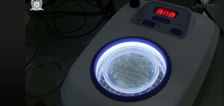 Desarrolla UAZ proyecto para nuevo antibiótico
