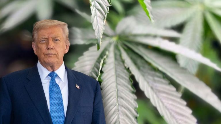 Trump firma orden para reclasificar la mariguana como una droga menos peligrosa