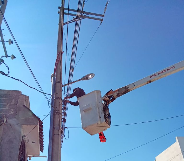 Reparan luminarias y dan mantenimiento a camellones