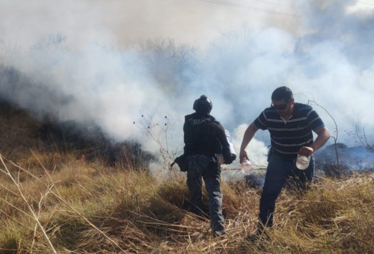 Atienden incendio de maleza en carretera de Villa de Cos
