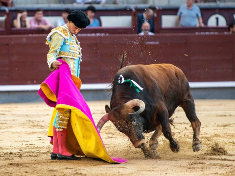 Bruno Aloi debutará en la Feria de León