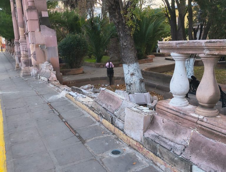 Detienen al responsable de dañar el Jardín de la Madre