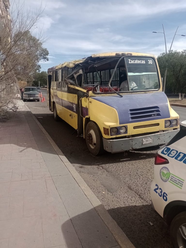 Choca camión de ruta contra rama en el bulevar metropolitano