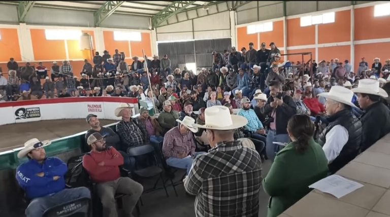 Un fracaso, acopio de frijol: productores