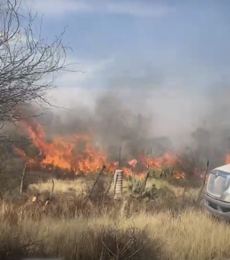 Sofocan incendio en Estancia de Ánimas
