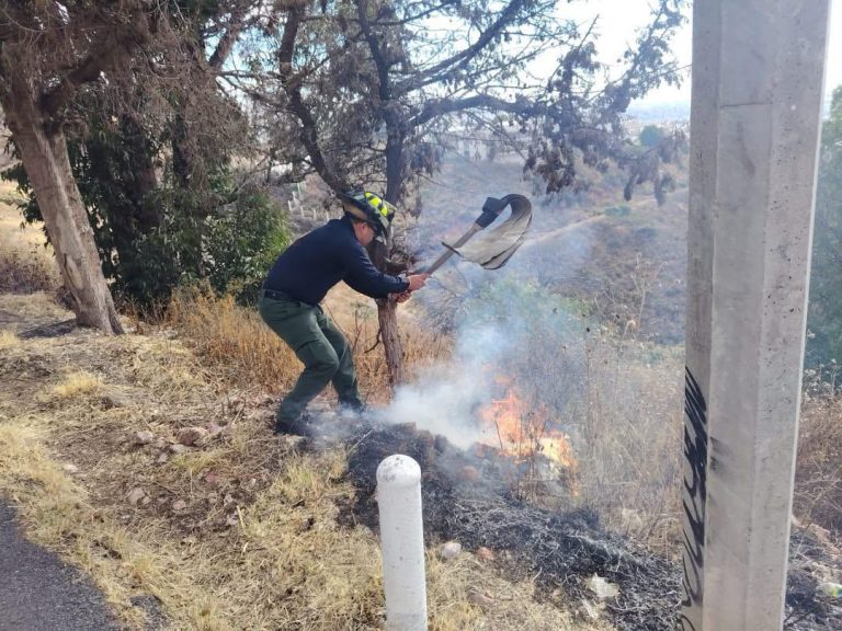 Exhortan a prevenir incendios forestales
