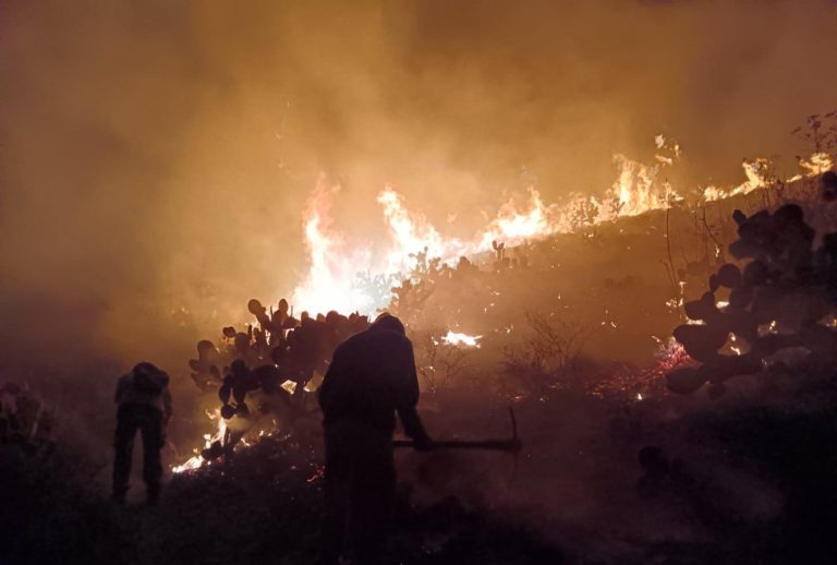 Incendio consume 15 hectáreas del cerro San Martín