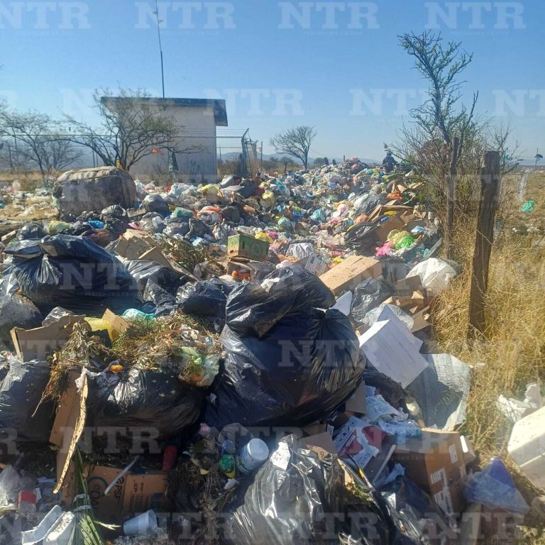 Basura bloquea camino de localidad en Valparaíso
