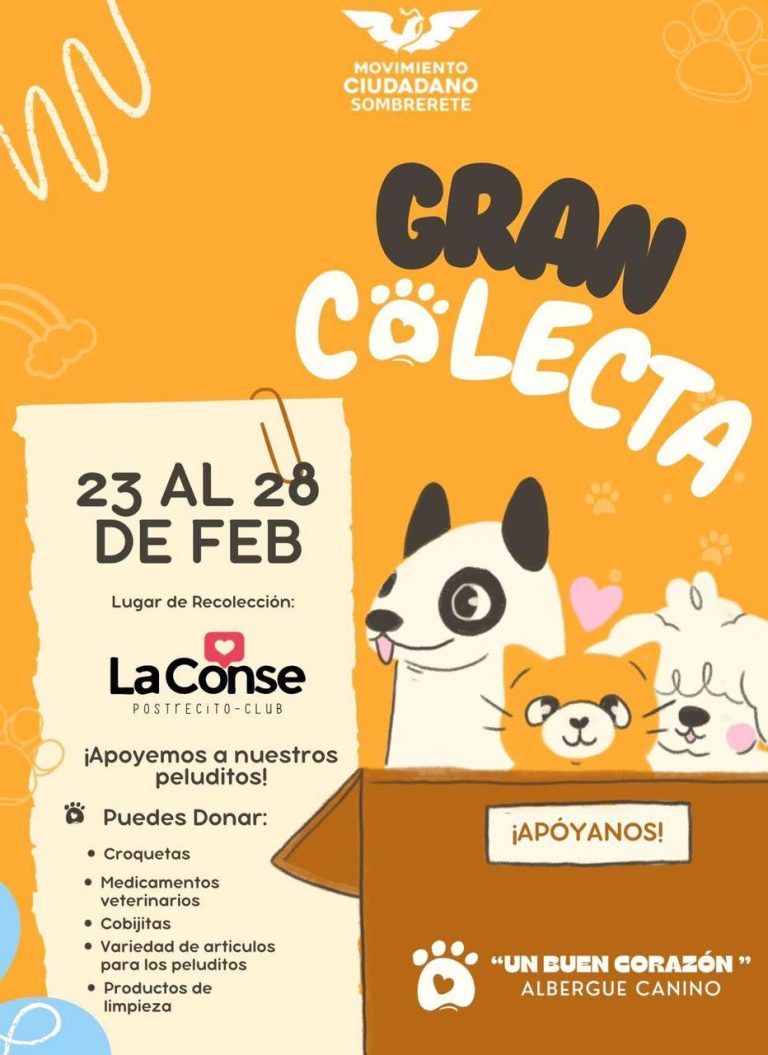 Realiza Movimiento Ciudadano gran colecta solidaria en Sombrerete