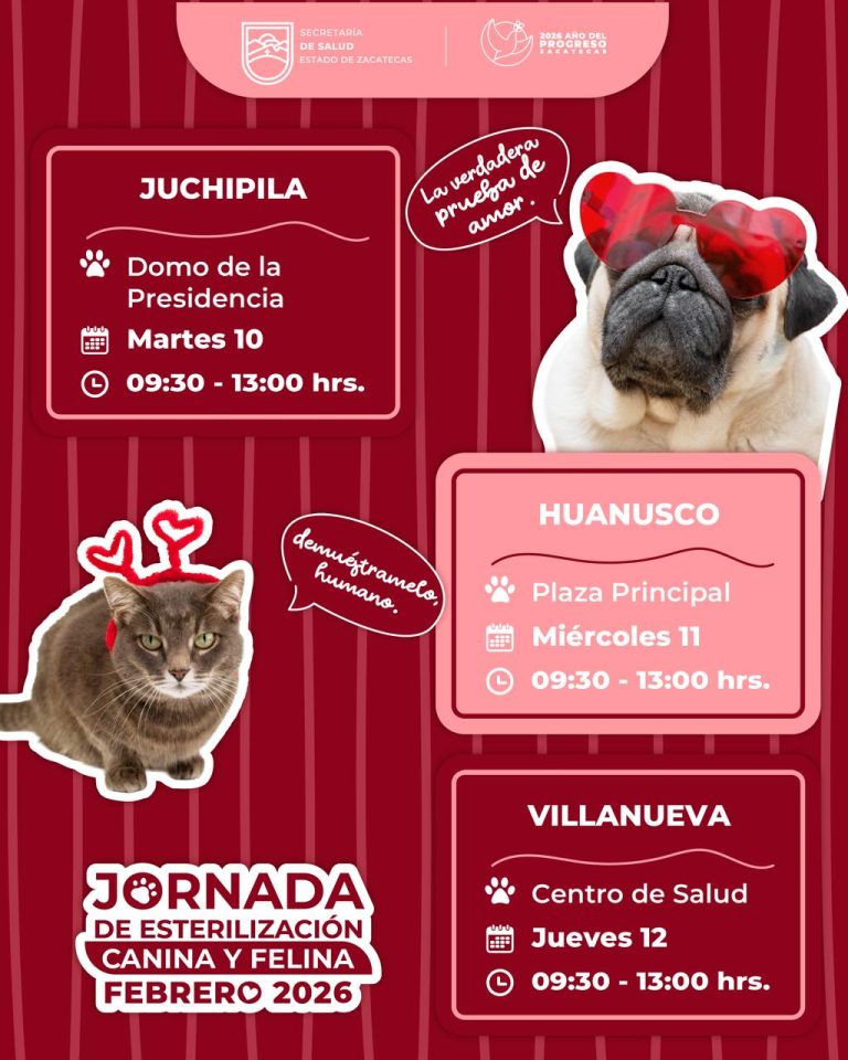 Llegan jornadas de esterilización a Juchipila, Huanusco y Villanueva