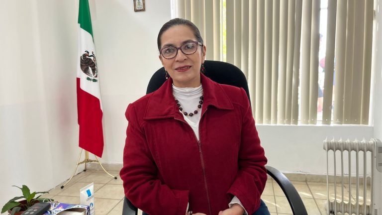 Se tramitan hasta 60 pasaportes por día