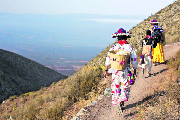 Buscan proteger ruta wixárika