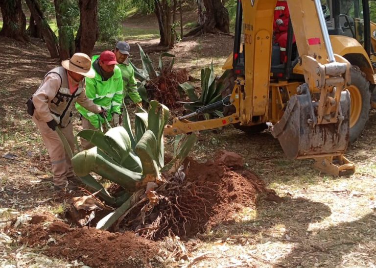 Continúa modernización del Parque de la Plata