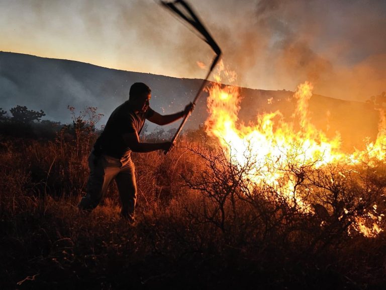 Incendio arrasa con 15 hectáreas de vegetación
