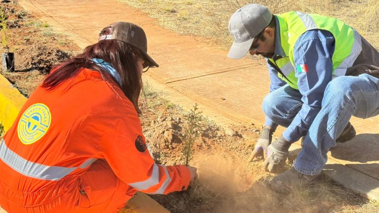 Realizan Jornada de Reforestación en Quantum