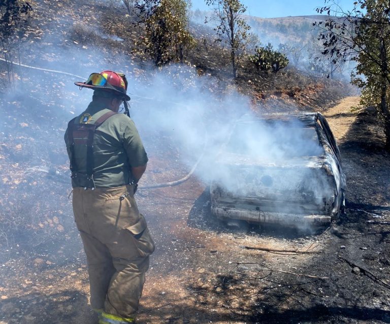 Automóvil termina en llamas y provoca incendio forestal