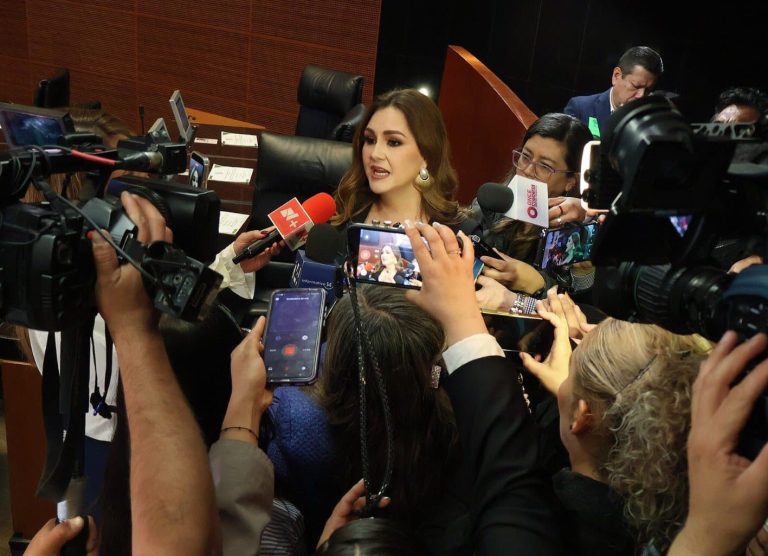 Pide senadora estrategia nacional de prevención de la violencia intrafamiliar