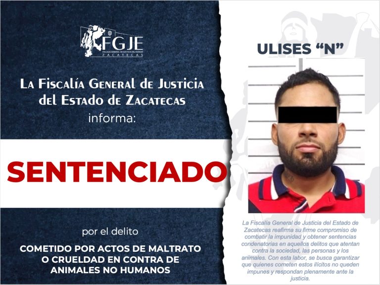 Lo encarcelan por matar al gato de su pareja
