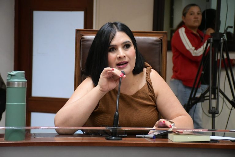 Piden diputados no criminalizar a productores