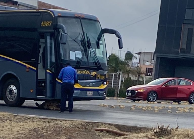 Atropella autobús a una mujer; la reportan como grave