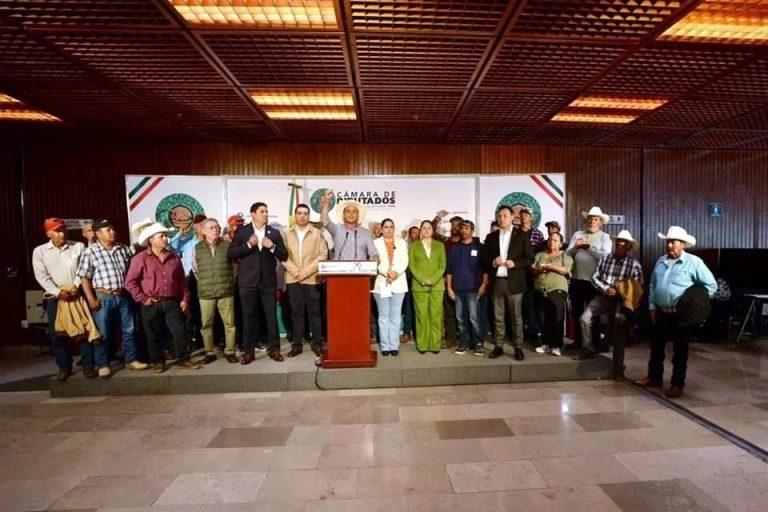 Denuncian irregularidades en Alimentación para el Bienestar