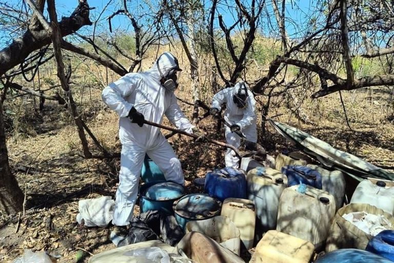 Desmantelan narcolaboratorio de Los Chapitos en Sinaloa