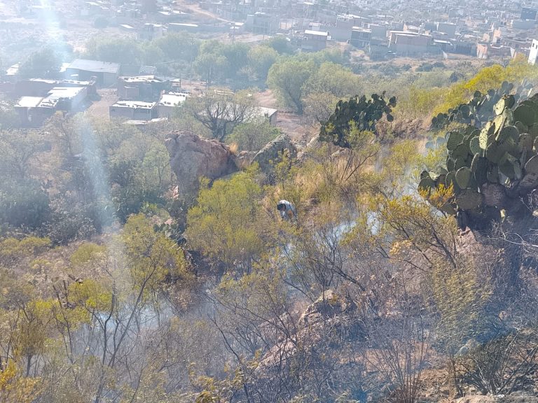 GN activa Plan DN-III-E para sofocar incendio en El Jaralillo