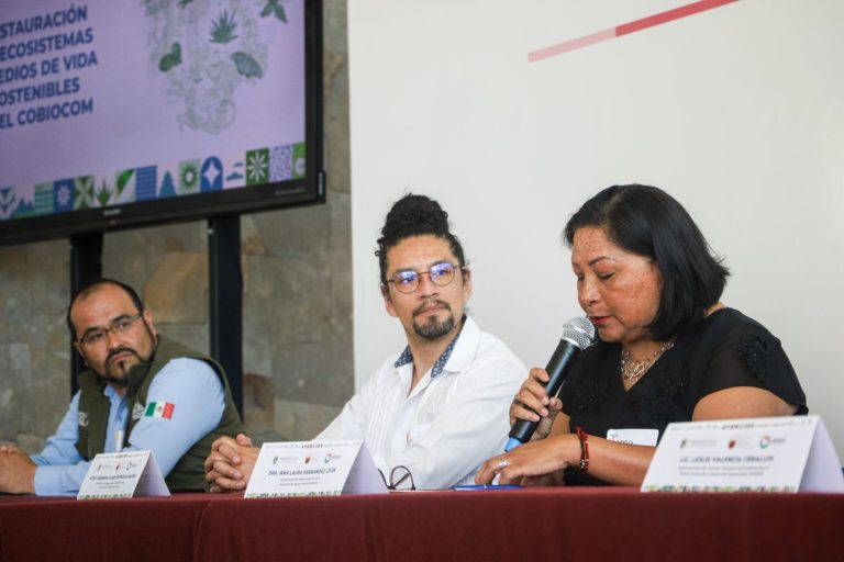 Trazan proyecto de restauración de ecosistemas
