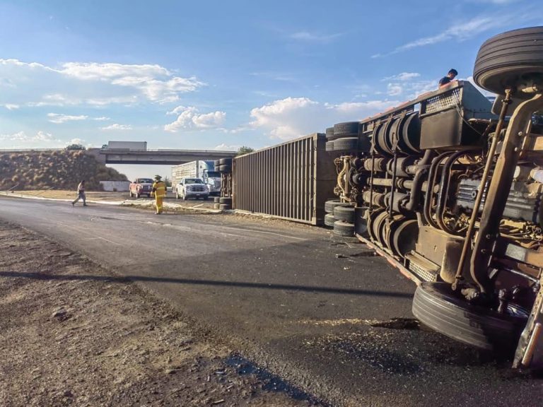 Vuelca camión que transportaba ganado