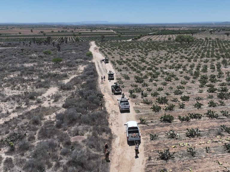 Efectúan búsqueda en comunidad La Victoria, Pinos