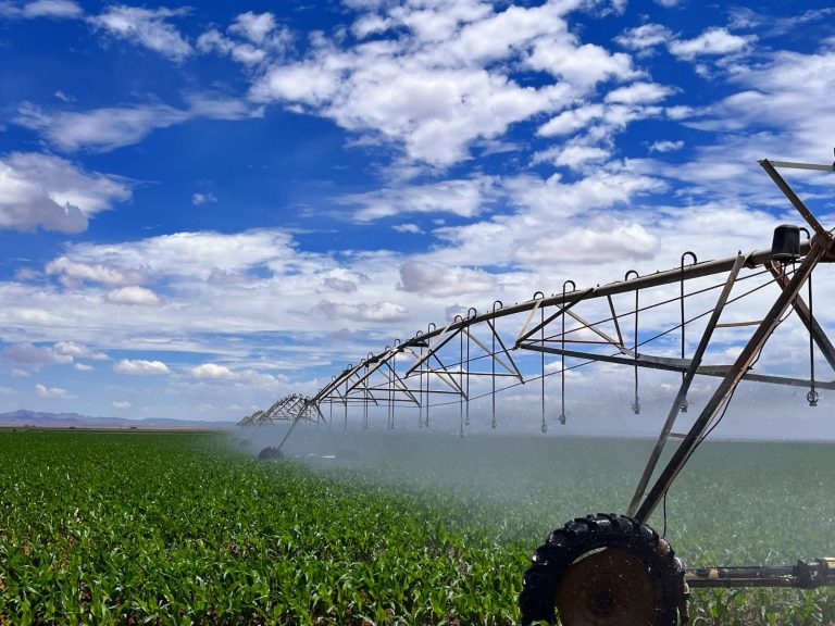 Llaman a agricultores a reinscribirse al PEUA