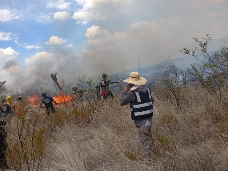 Confirman 735 hectáreas afectadas en incendio forestal