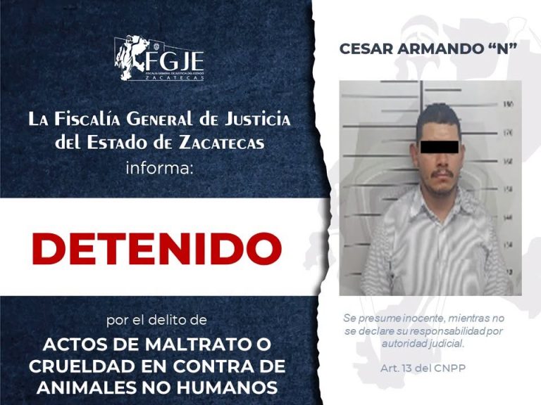 Cumplimenta FGJE ocho órdenes de aprehensión