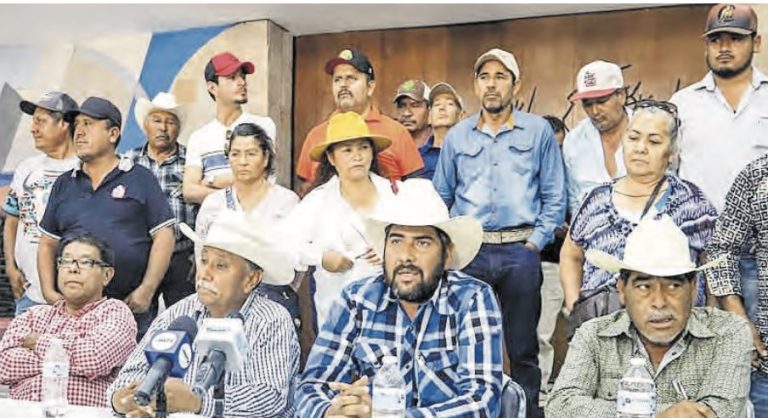 Dejan plantados a productores
