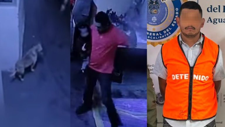 Detienen a asesino de Manchas, perrita del Mercado Poniente
