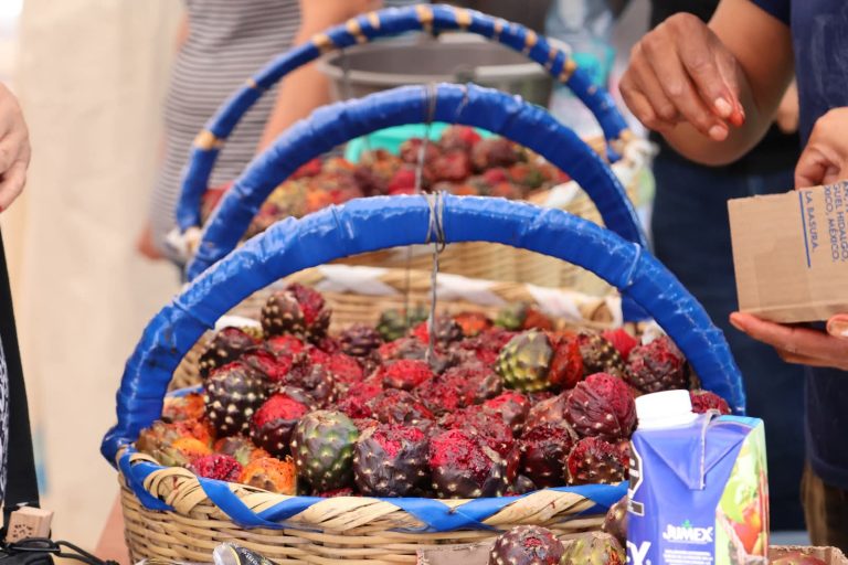Inauguran Pabellón de la Pitaya en Jalpa