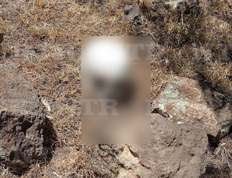 Las Escarabajos hallan 3 osamentas en Jerez