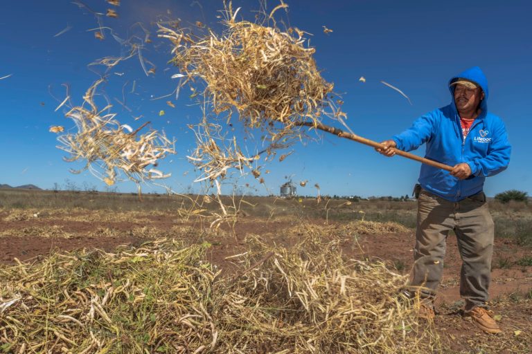 Invierten 17 mil mdp en el campo zacatecano