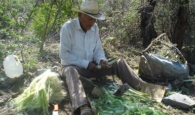 Talla de ixtle, un oficio por desaparecer