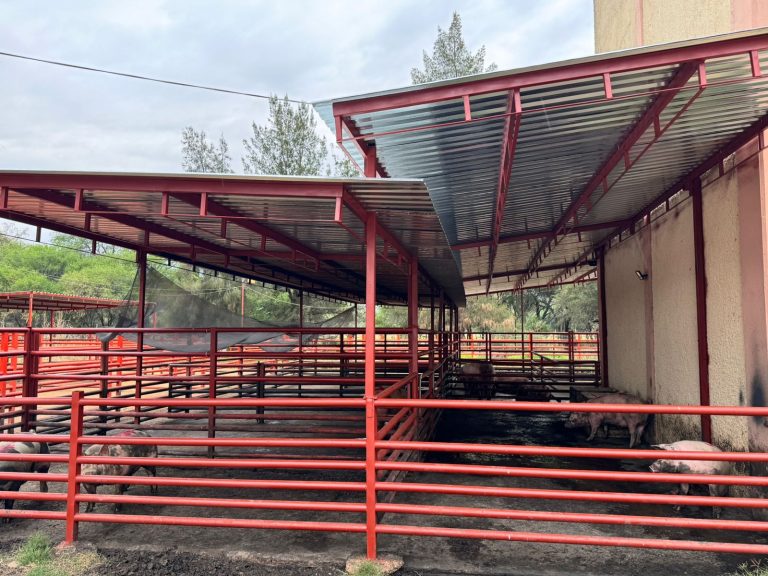 Techan rastro para evitar muertes por calor