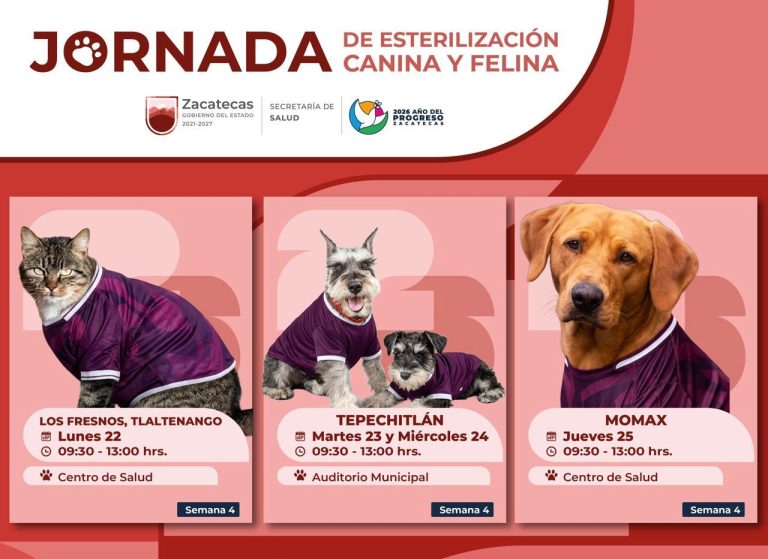 SSZ realizará esterilizaciones en Tlaltenango, Tepechitlán y Momax
