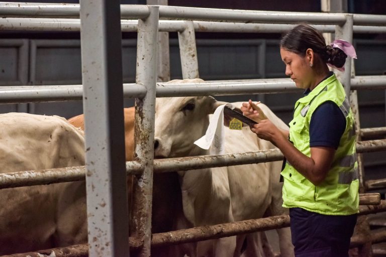 En 5 días, 22 nuevos casos de gusano barrenador