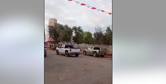 Abejas atacan a varias personas en Chaparrosa