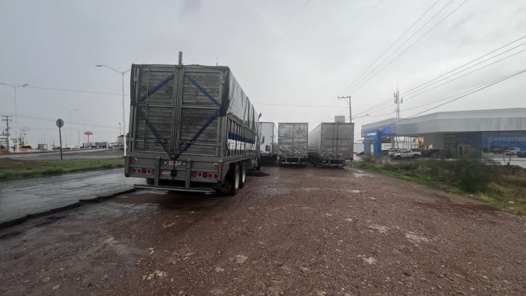 Habitantes de colonia Lindavista piden intervención de Policía Vial